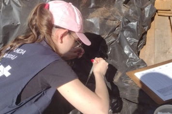 Secretaria Municipal de Saúde conclui LIRAa com recorde de coletas no município