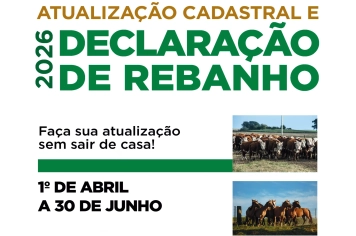 Produtores devem realizar declaração de rebanho