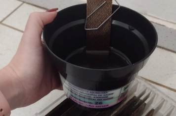 Recolhimento de ovitrampas acende alerta para alto índice de focos do mosquito da Dengue