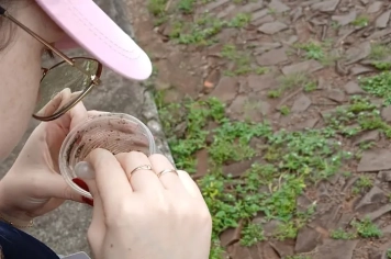 Secretaria de Saúde manifesta preocupação com resultado do LIRAa e reforça alerta à população