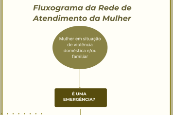 Conselheiras do Comdim definem ações descentralizadas 