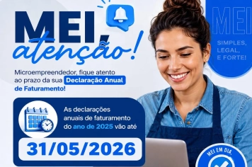 Prazo para entrega da Declaração Anual Simplificada do Microempreendedor Individual encerra no dia 31 de maio