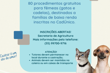 Secretaria de Agricultura abre inscrições para castração de fêmeas