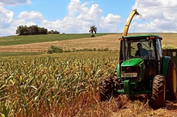 Secretaria de Agricultura beneficiou cerca de 30 produtores com serviços de silagem 
