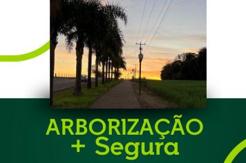 Município adere ao Programa Arborização + Segura da RGE