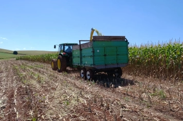 Secretaria da Agricultura segue com trabalhos de confecção de silagem 