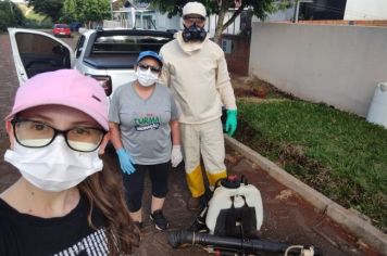 Vigilância Sanitária intensifica combate à dengue 